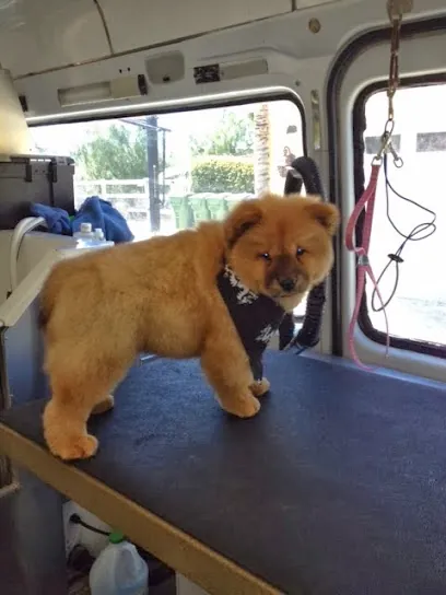 Sunny Valley Mobile Pet Grooming — photo from their website