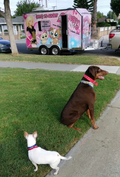 Sassy Paws Mobile Pet Groomer — photo from their website