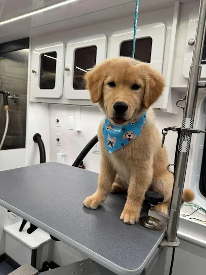 Beauty Pet Mobile Spa — photo from their website