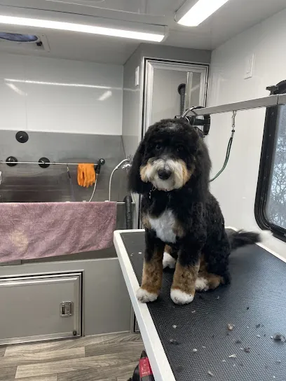 Traveling For The Pets Mobile Grooming — photo from their website