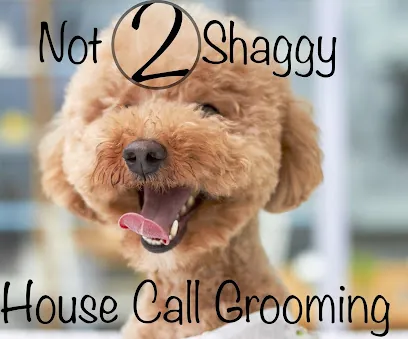 Not 2 Shaggy Housecall Dog Grooming — photo from their website