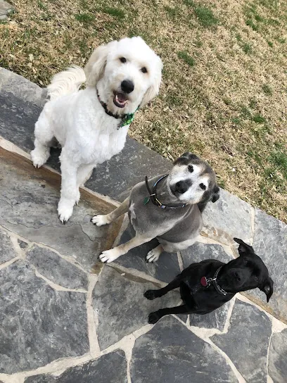 Kristy's Pampered Paws Mobile Pet Grooming — photo from their website