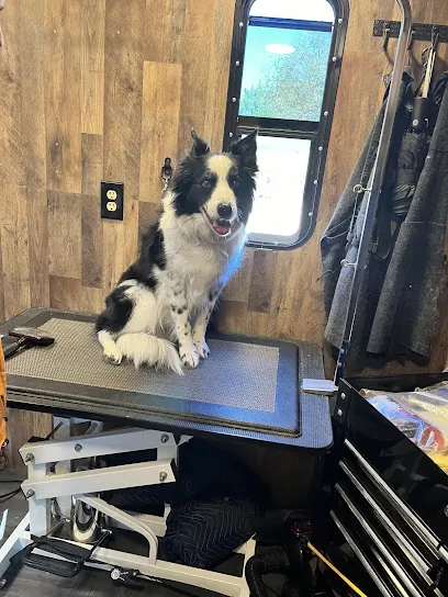 Spirit of the Wild Mobile Pet Grooming — photo from their website