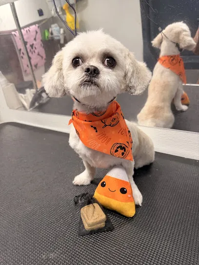 Peachy Paws Mobile Dog Grooming — photo from their website