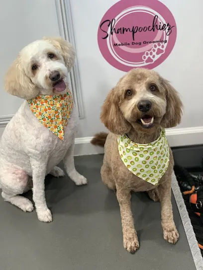 Shampoochiez Mobile Dog Grooming — photo from their website