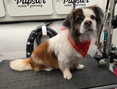 Pupster Mobile Grooming — photo from their website