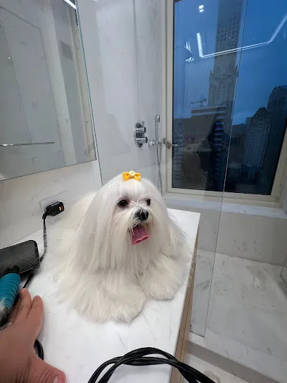 SFT in Home Grooming — photo from their website