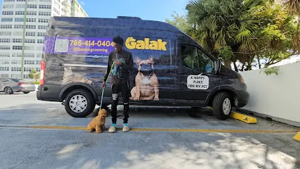 Galak Mobile Grooming — photo from their website