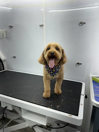 Justin Time Mobile Grooming — photo from their website