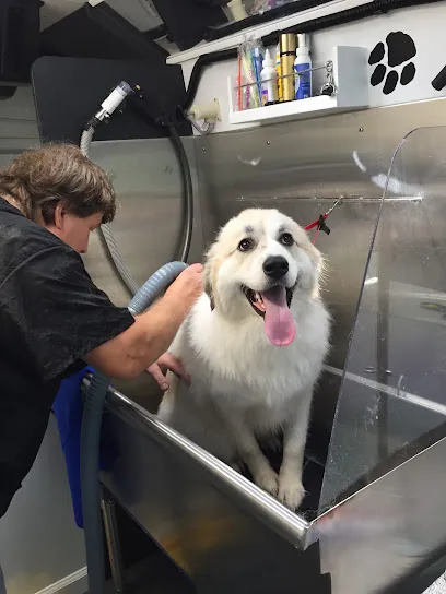 V.I.D Mobile Grooming Salon and Spa — photo from their website