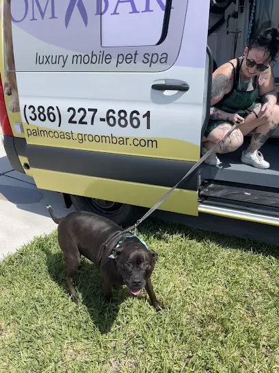 Groombar Palm Coast - Mobile Pet Grooming — photo from their website