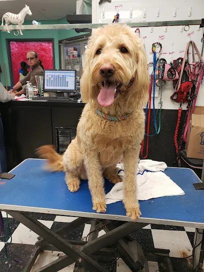 Sudzy Pups Mobile Grooming — photo from their website