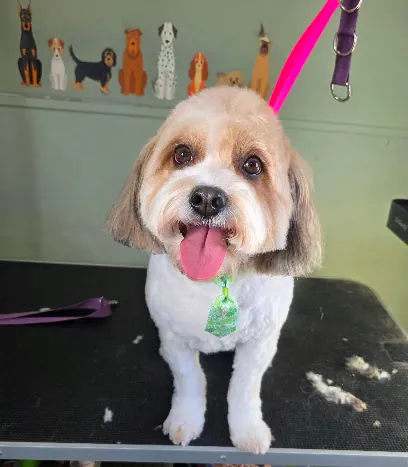 Tail-ored Pets Mobile Grooming — photo from their website