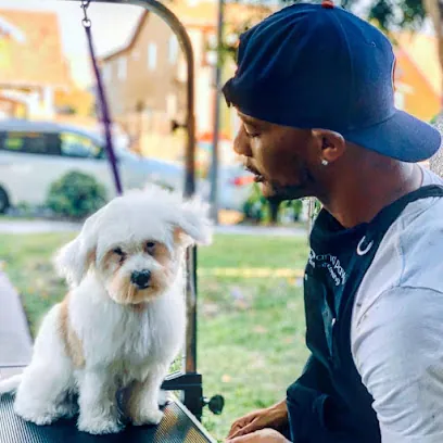Whiskers and Paws Mobile Pet Grooming — photo from their website