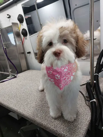 Spotless Hounds Mobile Grooming — photo from their website