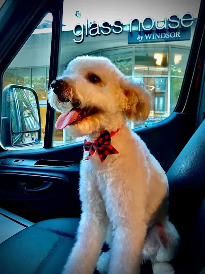 Uptown Clippers Pet Mobile Grooming L.L.C. — photo from their website