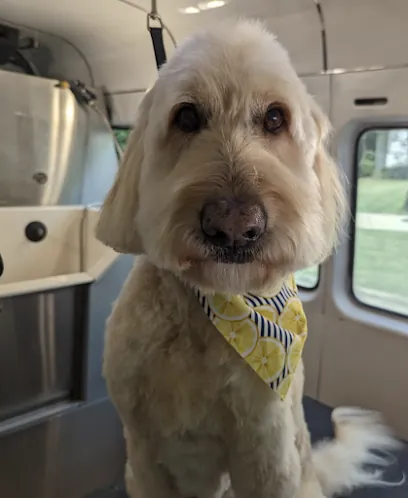 Mobile Grooming by Heather LLC — photo from their website