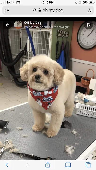 Oh My Dog Mobile — photo from their website