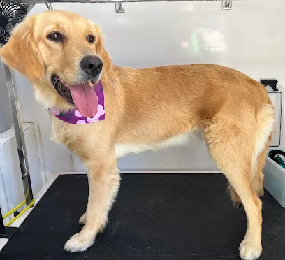 Spiffy Mobile Grooming LLC — photo from their website
