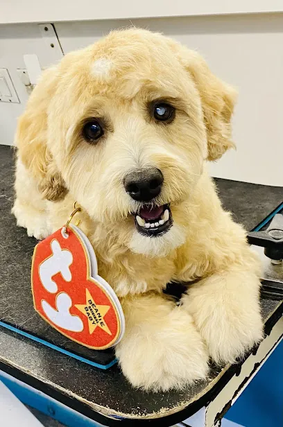 It’s A Ruff Life Mobile Pet Grooming — photo from their website