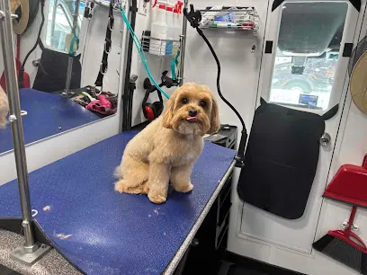 Barkbus Mobile Dog Grooming — photo from their website