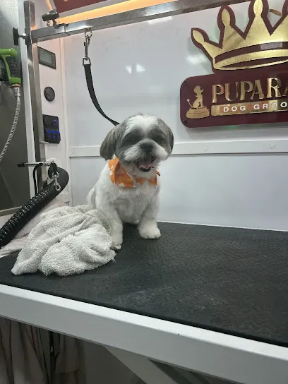 Pup Up N Away (Mobile Grooming) — photo from their website
