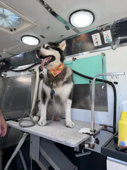 Fresh Pup Mobile Pet Grooming — photo from their website
