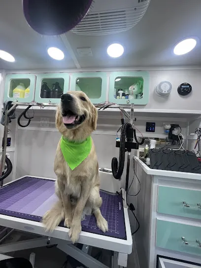 Kenina Mobile Pet Grooming — photo from their website