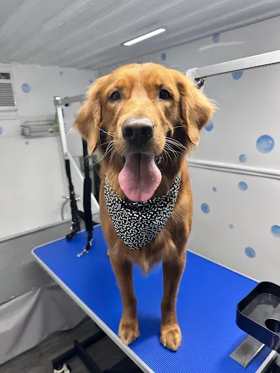 The Grooming Spot - Mobile Dog Grooming — photo from their website