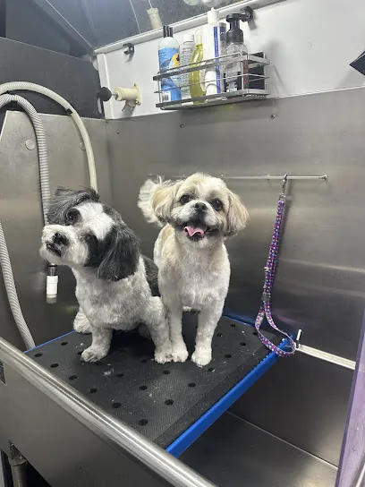Barks & Wags Mobile Grooming — photo from their website