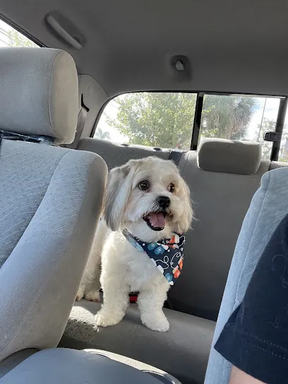 Furkids Pet Grooming - Salon and Mobile Pet Grooming — photo from their website