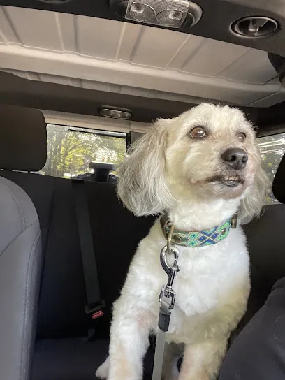 Posh Paws Mobile Grooming — photo from their website