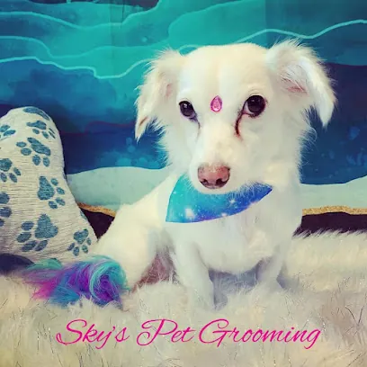 Sky’s Pet Grooming HD Mobile — photo from their website