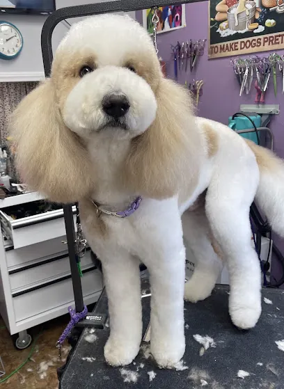 Get your Groom on Mobile grooming — photo from their website