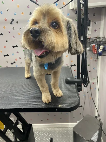 ABC Mobile Grooming LLC — photo from their website
