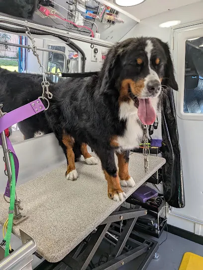 pampamobile pet grooming — photo from their website