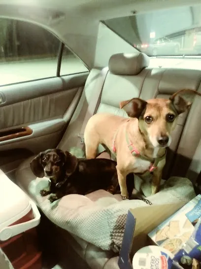 Happy Pets Mobile Grooming — photo from their website