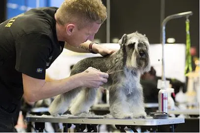 Royal Mobile Pet Grooming Pembroke Pines — photo from their website