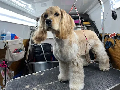 Studs in Suds Mobile Pet Spa — photo from their website