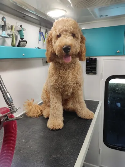 Pet Grooming At Home by: Jaime the Groominator — photo from their website