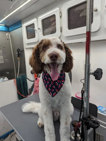 Dogs in the Driveway- Mobile Grooming — photo from their website