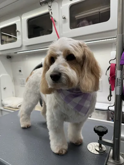 H. Williams Mobile Pet Spa — photo from their website
