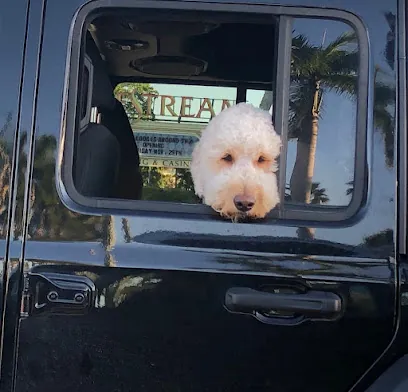 Mobile Dog Grooming Coconut Grove — photo from their website