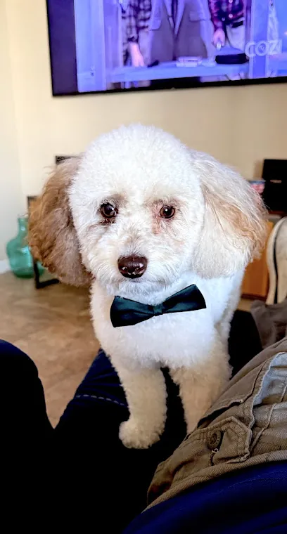 Mobile Pet Grooming World — photo from their website