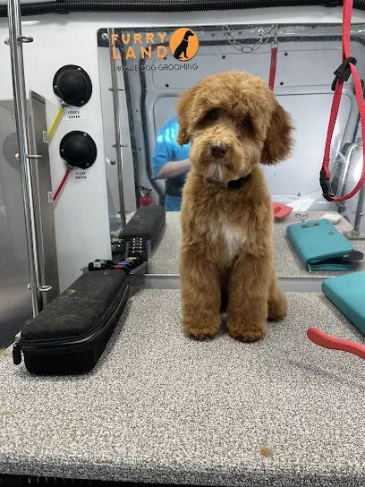 Furry Land Mobile Grooming of Savannah, GA — photo from their website