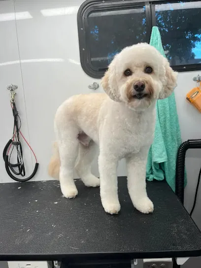 Ariel's Seaside Mobile Pet Spa — photo from their website