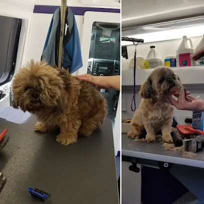 Wine Country Mobile Dog Grooming — photo from their website