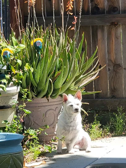 Happy Tails Mobile Pet Salon — photo from their website