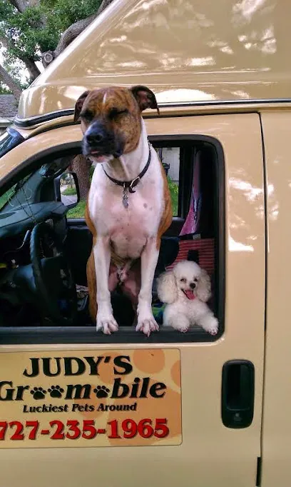 Judy's Groomobile — photo from their website