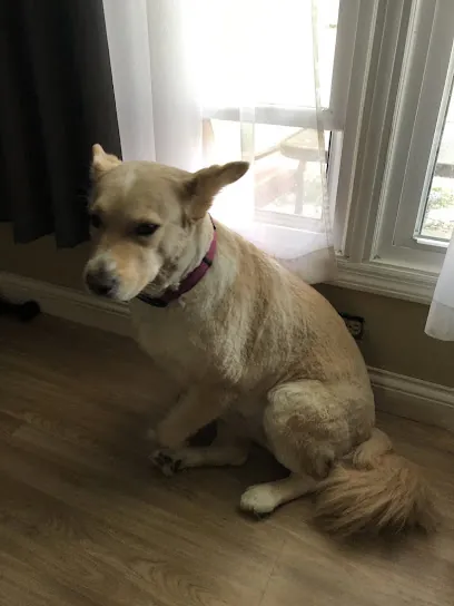Kellie’s Mobile Grooming Salon LLC — photo from their website